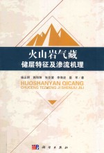 火山岩气藏储层特征及渗流机理