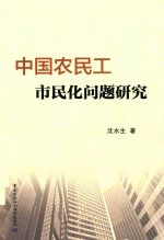 中国农民工市民化问题研究