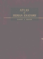 AN ATLAS OF HUMAN ANATOMY