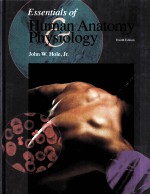 ESSENTIALS OF HUMAN ANATOMY PHYSIOLOGY FOUTH EDITION