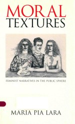 MORAL TEXTURES FEMINIST NARRATIVES IN THE PUBLIC SPHERE