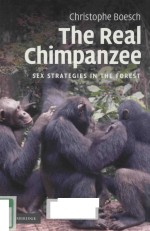 THE REAL CHIMPANZEE SEX STRATEGIES IN THE FOREST