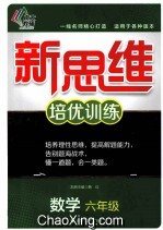 新思维培优训练  数学  六年级