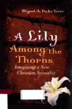 A LILY AMONG THE THORNS IMAGINING A NEW CHRISTIAN SEXUALITY