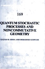 QUANTUM STOCHASTIC PROCESSES AND NONCOMMUTATIVE GEOMETRY