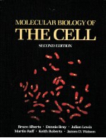 MOLECULAR BIOLOGY OF THE CELL SECOND EDITION