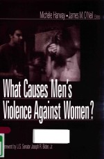 WHAT CAUSES MEN'S VIOLENCE AGAINST WOMEN?