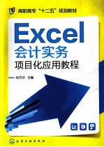 Excel会计实务项目化应用教程