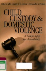 CHILD CUSTODY & DOMESTIC VIOLENCE A CALL FOR SAFETY AND ACCOUNTABILITY