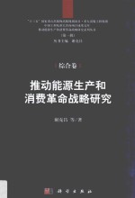 推动能源生产和消费革命战略研究  综合卷