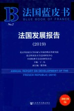 法国发展报告  2019