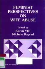 FEMINIST PERSPECTIVES ON WIFE ABUSE