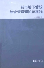 城市地下管线综合管理理论与实践