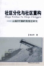 社区分化与社区重构  云南DY铜矿的变迁研究