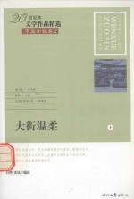 20世纪末文学作品精选  中篇小说卷  2  大街温柔  上