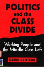 POLITICS AND THE CLASS DIVIDE  WORKING PEOPLE AND THE MIDDLE-CLASS LEFT