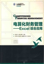 电算化财务管理  Excel综合应用