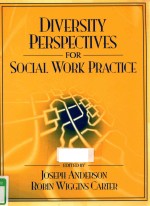 DIVERSITY PERSPECTIVES FOR SOCIAL WORK PRACTICE