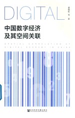 中国数字经济及其空间关联