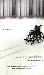 JUST AN ACCIDENT BY AMY MONTGOMERY