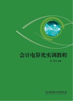 会计电算化实训教程