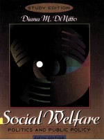 SOCIAL WELFARE POLITICS AND PUBLIC POLICY FIFTH EDITION STUDY EDITION