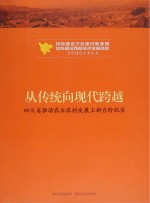 从传统向现代跨越  四川省推动农业农村经济发展上新台阶纪实