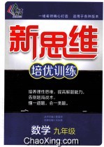 新思维培优训练  数学  九年级