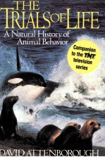 The trials of life : a natural history of animal behavior