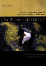 ON BEING DIFFERENT  DIVERSITY AND MULTICULTURALISM IN THE NORTH AMERICAN MAINSTYEAM