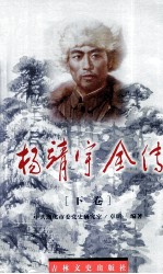 杨靖宇全传  下