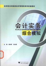 会计实务综合模拟  应用型