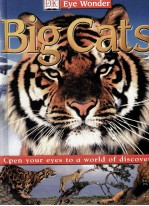 Big cats