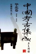 中国考古集成  华北卷  河南省  山东省  石器时代  5