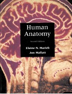 HUMAN ANATOMY  SECOND EDITION