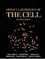 MOLECULAR BIOLOGY OF THE CELL  SECOND EDITION