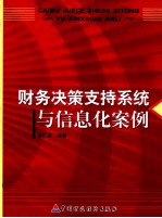 财务决策支持系统与信息化案例