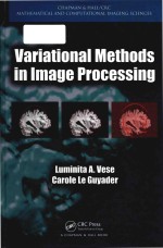 Variational methods in image processing