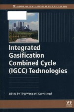 Integrated gasification combined cycle (IGCC) technologies