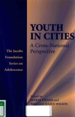 YOUTH IN CITIES A CROSS-NATIONAL PERSPECTIVE