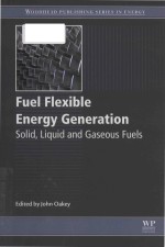 Fuel flexible energy generation solid