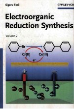 ELECTROORGANIC REDUCTION SYNTHESIS  VOLUME 2