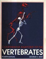 COMPARATIVE ANATOMY OF THE VERTEBRATES  FOURTH EDITION