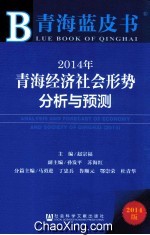 2014年青海经济社会形势分析与预测