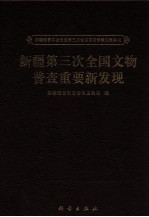 新疆维吾尔自治区第三次全国文物普查成果集成  新疆第三次全国文物普查重要新发现