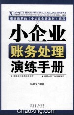 小企业账务处理演练手册