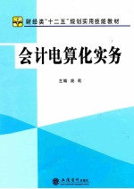 会计电算化实务