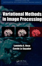 Variational  Methods  in  lmage  processing