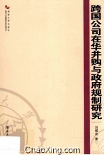 跨国公司在华并购与政府规制研究