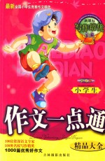 小学生作文一点通精品大全  双色版